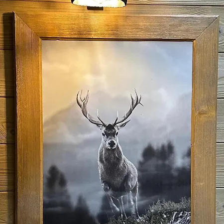 Nad Potokiem * Szczawnica