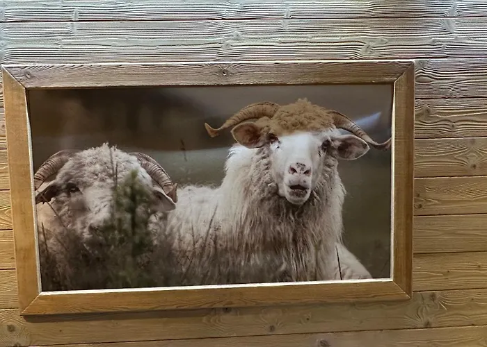 Nad Potokiem Szczawnica