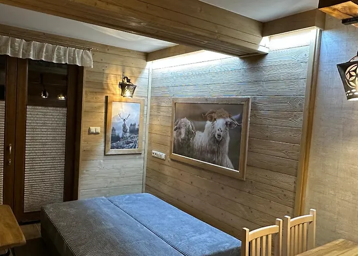 Nad Potokiem Appartamento *